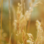 EXTREME Coupon Deals for Games at Walmart,Target & Toys R Us!! Only $2!!