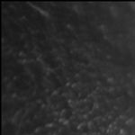 FREE Shampoo & Conditioner at Sephora