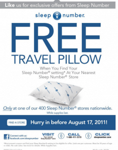 FREE Travel Pillow