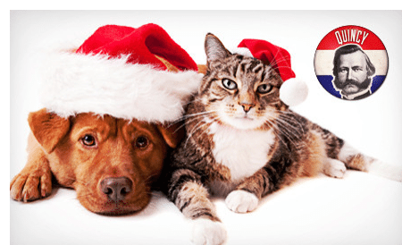 $15 for $30 Worth of Pet Food and Supplies