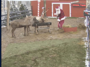 LIVE Reindeer Cam with Santa