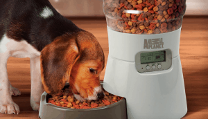 Animal Planet Automatic Pet Feeder