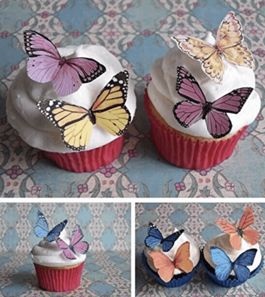 Edible Butterflies Cake & Cupcake Toppers Mixed Colour