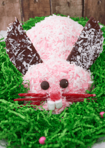 Easter Bunny Cake Recipe and Tutorial