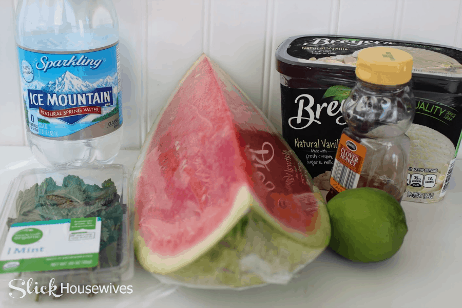 Watermelon Agua Fresca Float Recipe3.png