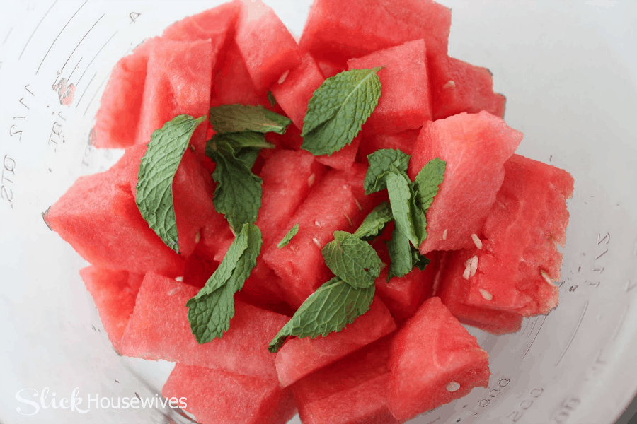 Watermelon Agua Fresca Float Recipe5.png