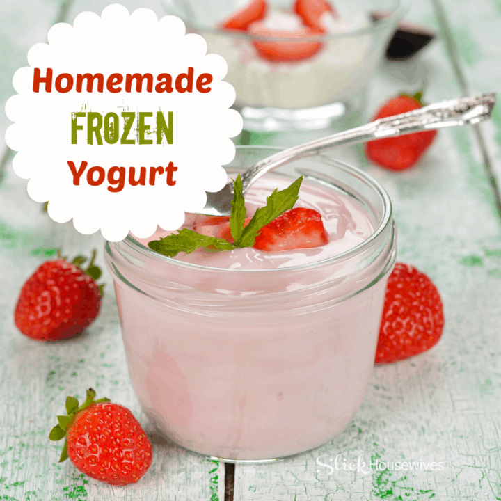 Homemade Frozen Yogurt Recipe
