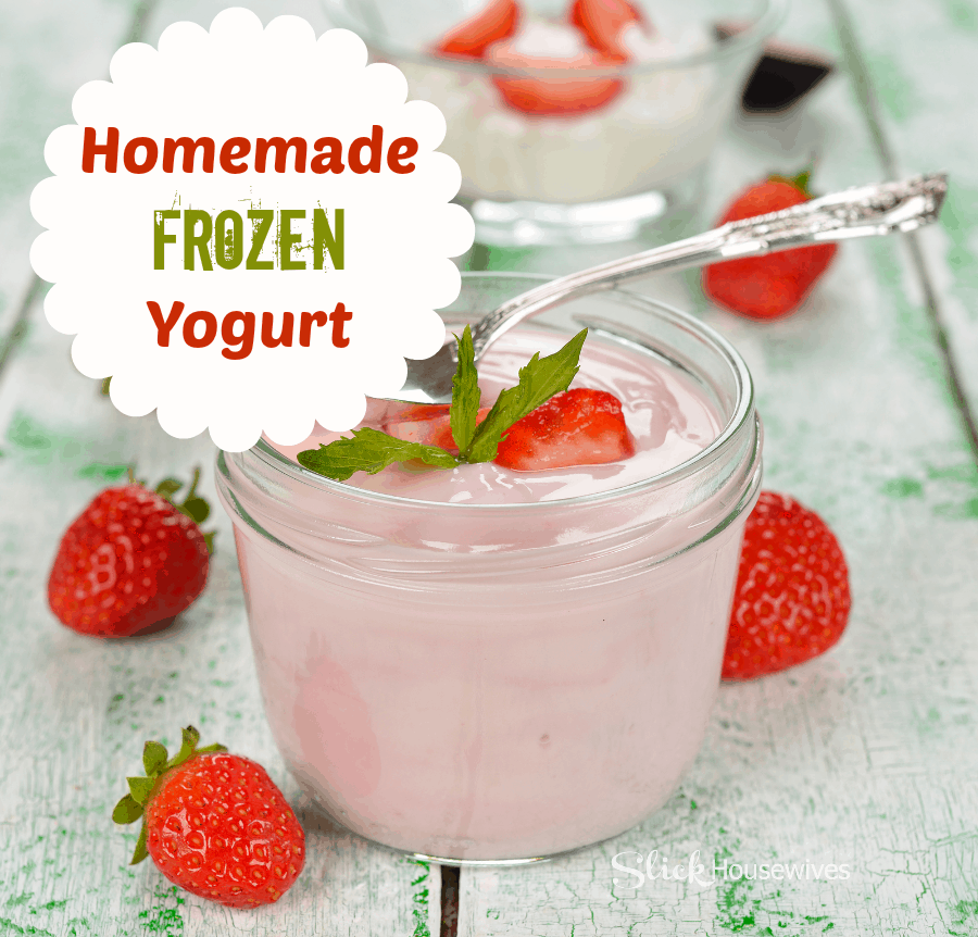 Homemade Frozen Yogurt Recipe