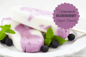Blueberry Yogurt Popsicle Recipe