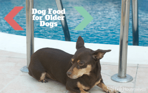 dog food for older dogs